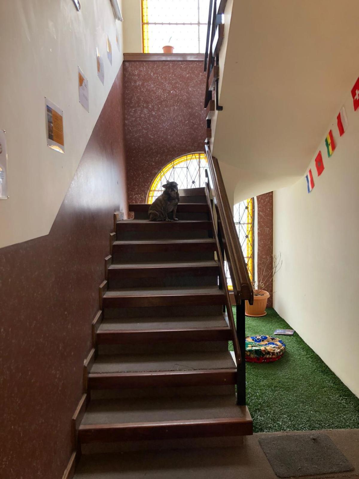 Home In Hostel La Paz Extérieur photo