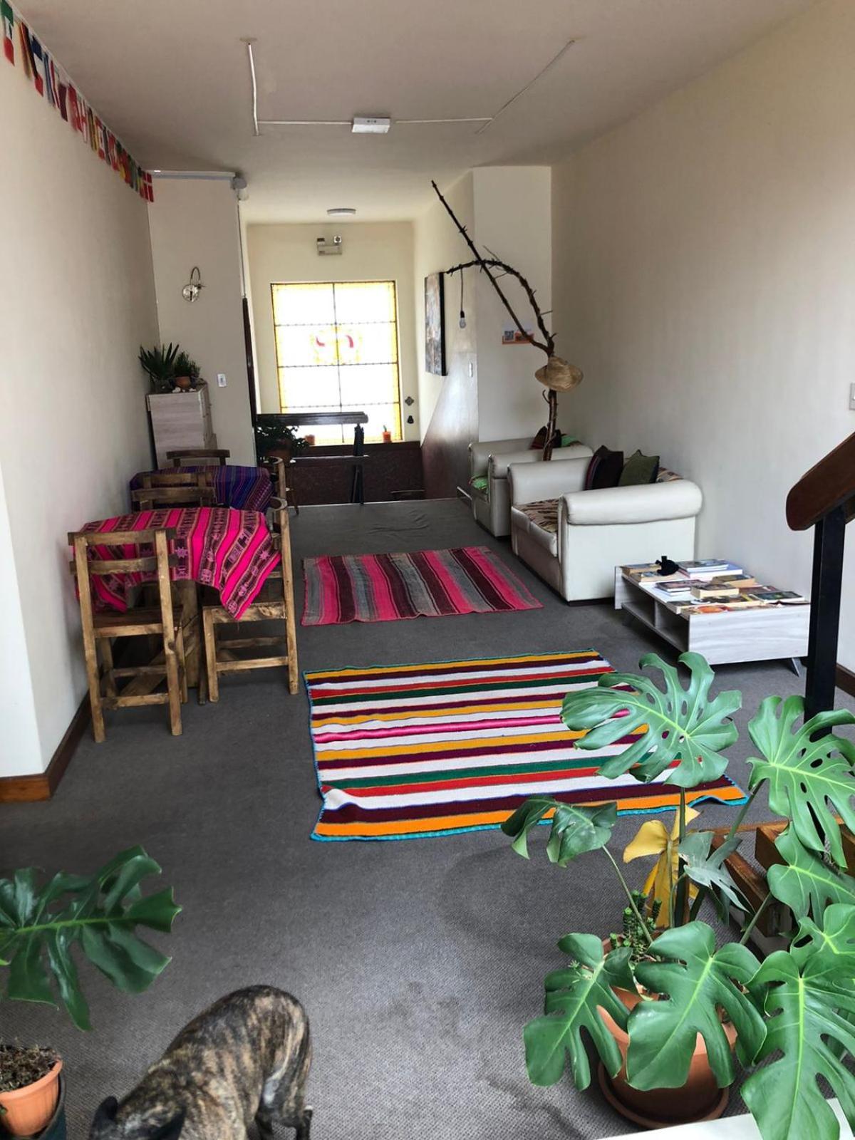 Home In Hostel La Paz Extérieur photo